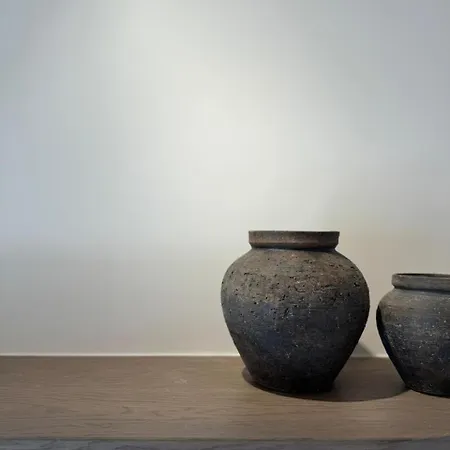 Conte Mykonos Ii 別荘