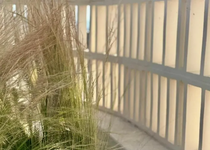 Conte Mykonos Ii Tatil Evi